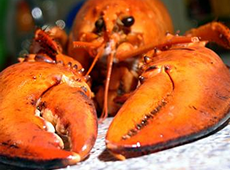 Hummer - Surf and Turf