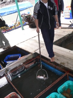 Fischer in Halong Bay