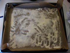 img_0210 Backpapier mit Parmesan bestreuen.