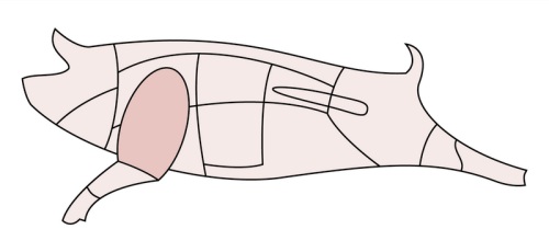 schwein-schulter schwein-schulter