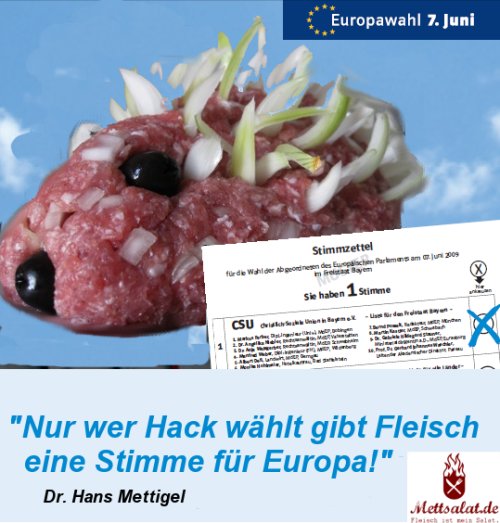 europawahl europawahl