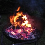 IMG_1159 IMG_1159