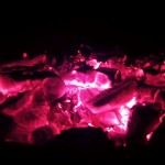 IMG_1165 IMG_1165