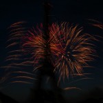 IMG_1253 IMG_1253