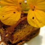 IMG_1289 IMG_1289