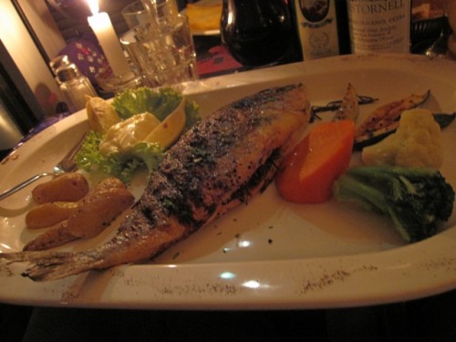 IMG_2941 IMG_2941